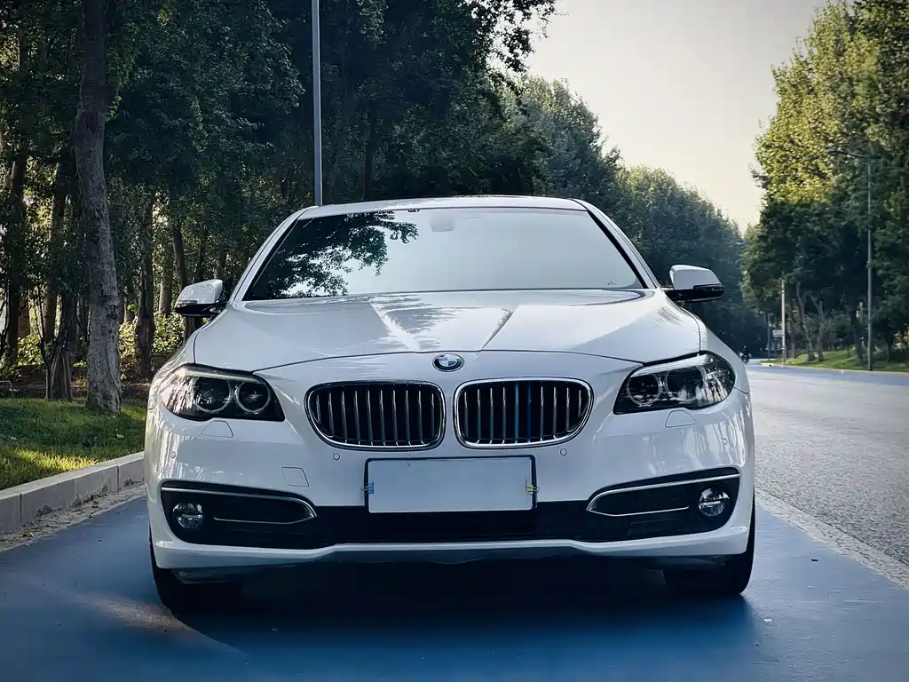 BMW 5 Series 2014