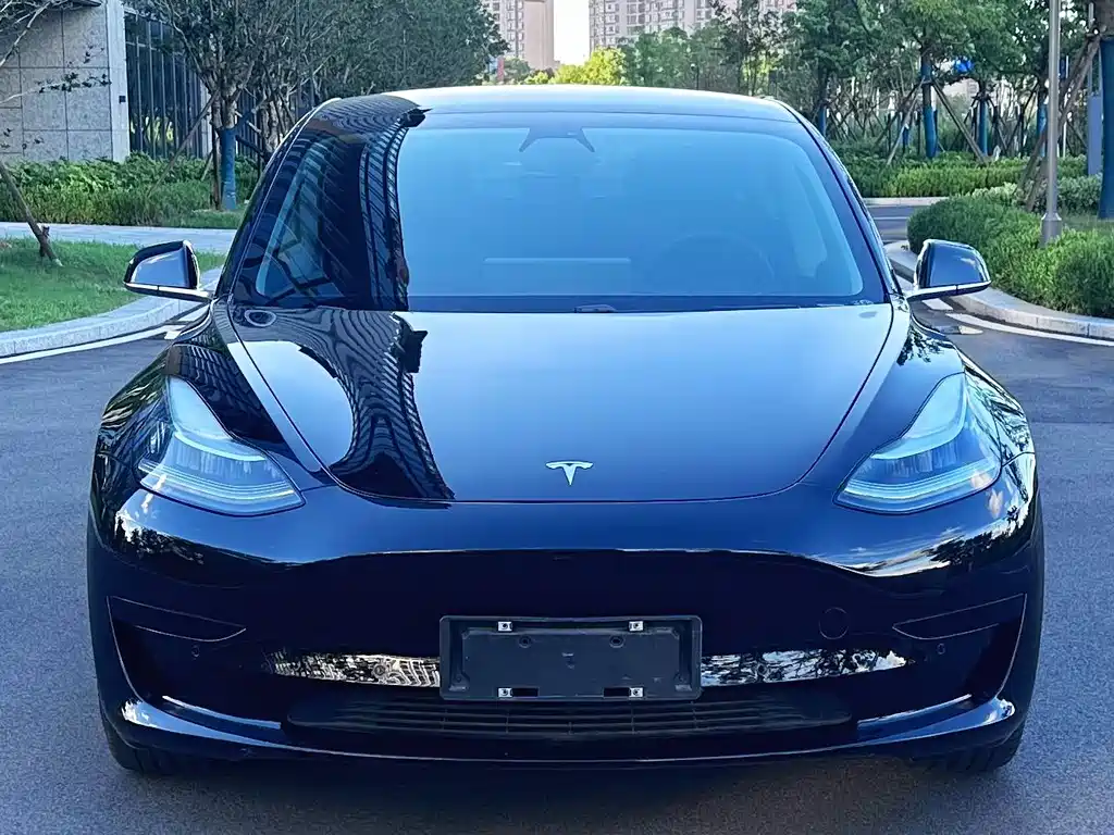 Tesla Model 3 2020 — фото 2