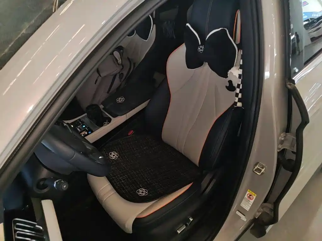 BYD Song PLUS New Energy 2023 — фото 15
