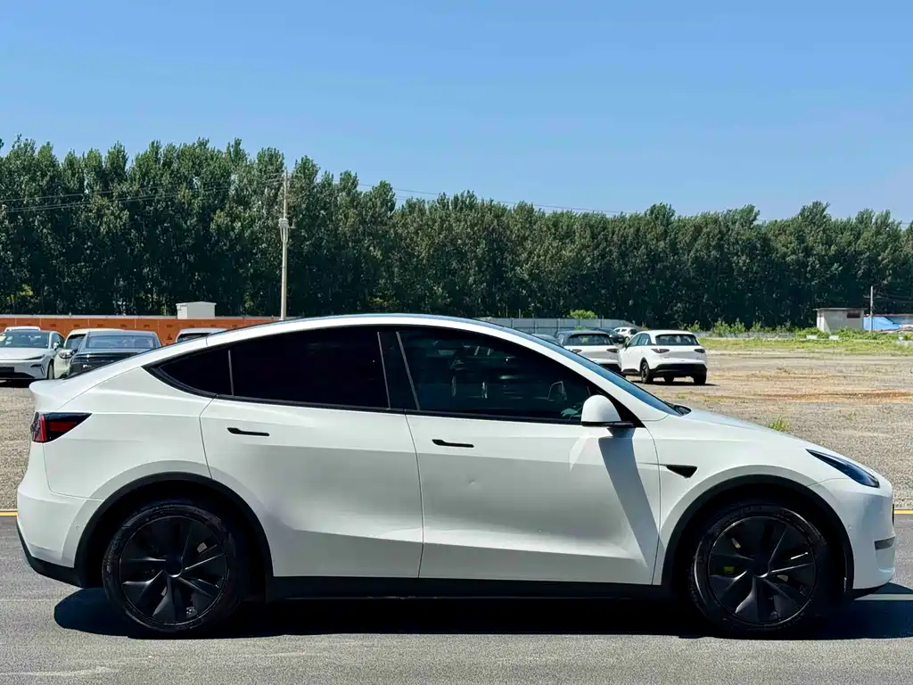 Tesla Model Y 2023 — фото 4