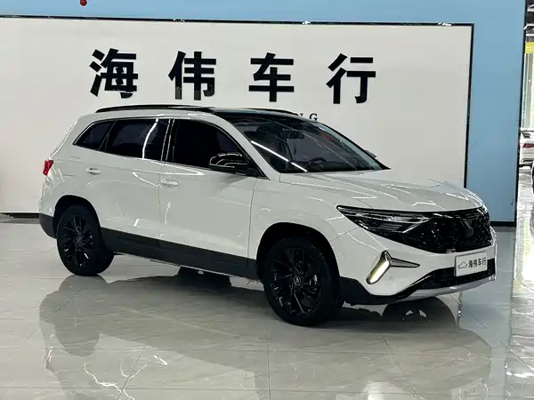 Jetta VS7 2022