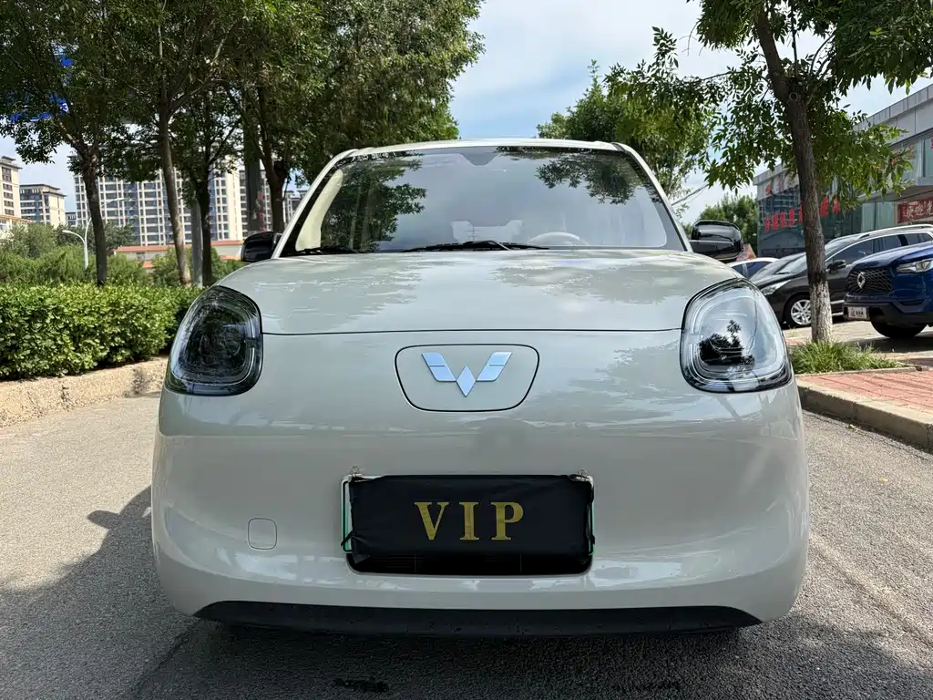 Wuling Hongguang MINIEV 2025