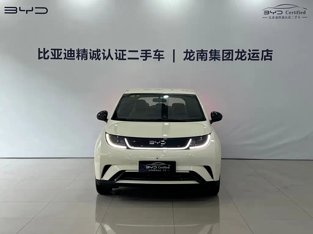 BYD Dolphin 2026