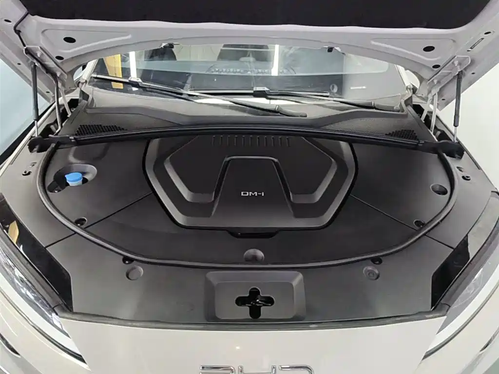 BYD PLUS New Energy 2024 — фото 20