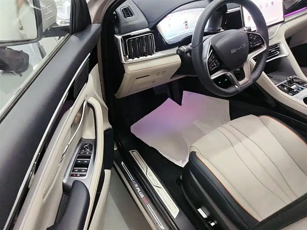 BYD PLUS New Energy 2024 — фото 16