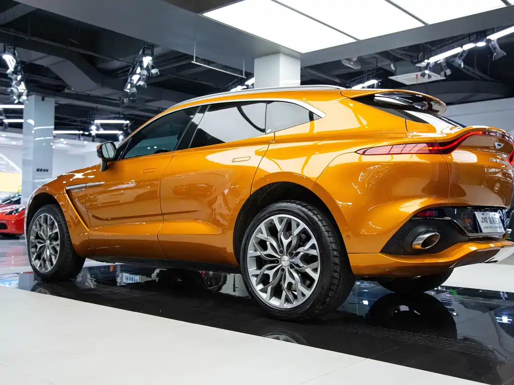 Aston Martin DBX 2022 — фото 16