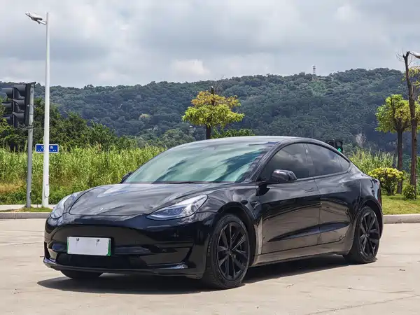 Tesla Model 3 2021
