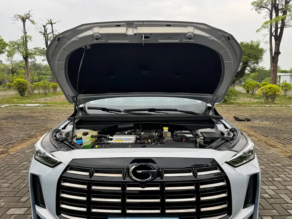 GAC Motor Trumpchi GS4 2024 — фото 16
