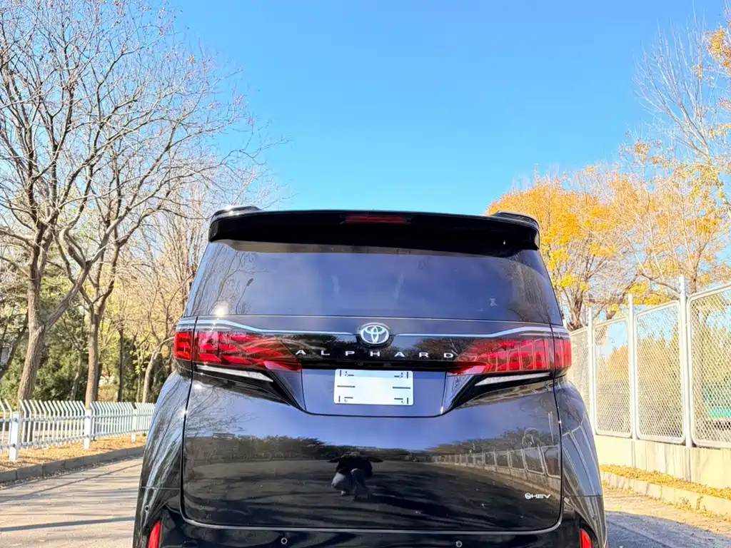 Toyota Alphard — фото 13