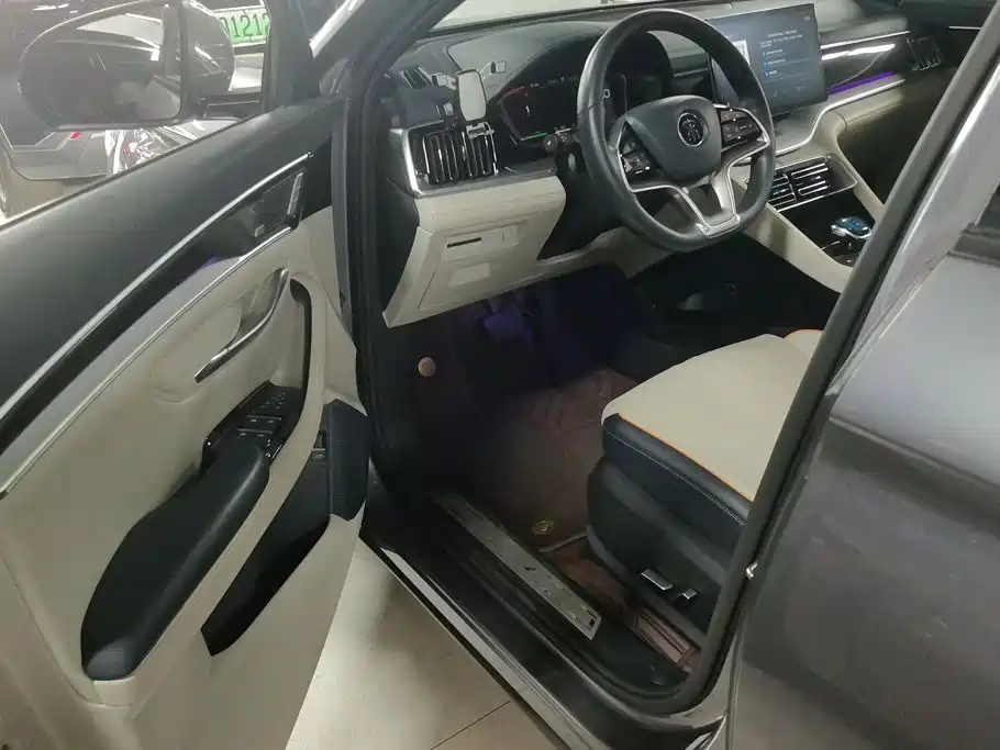 BYD Song PLUS New Energy 2022 — фото 9