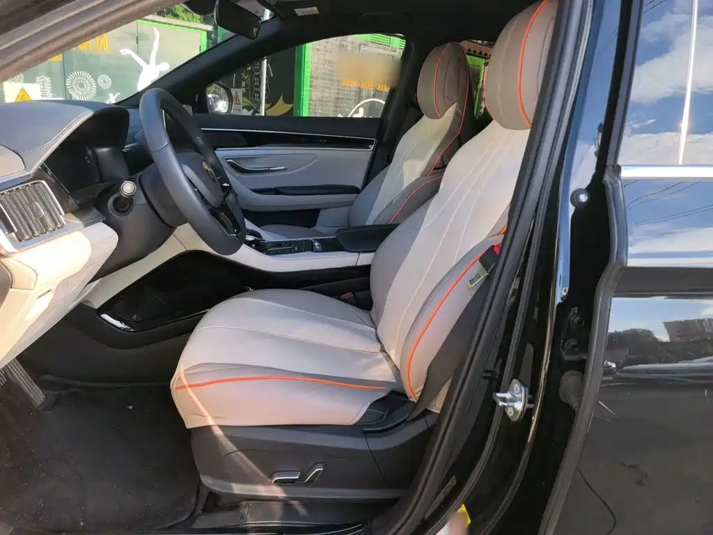 BYD Song PLUS New Energy 2022 — фото 20
