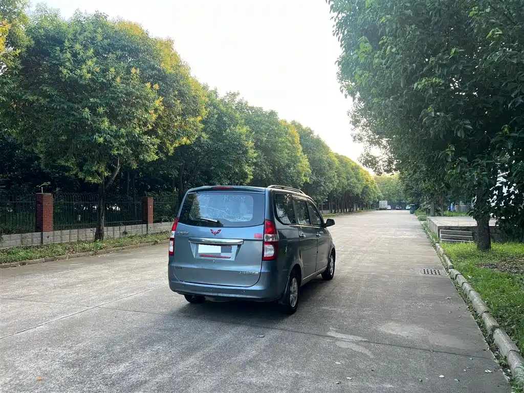 Wuling Hongguang 2014