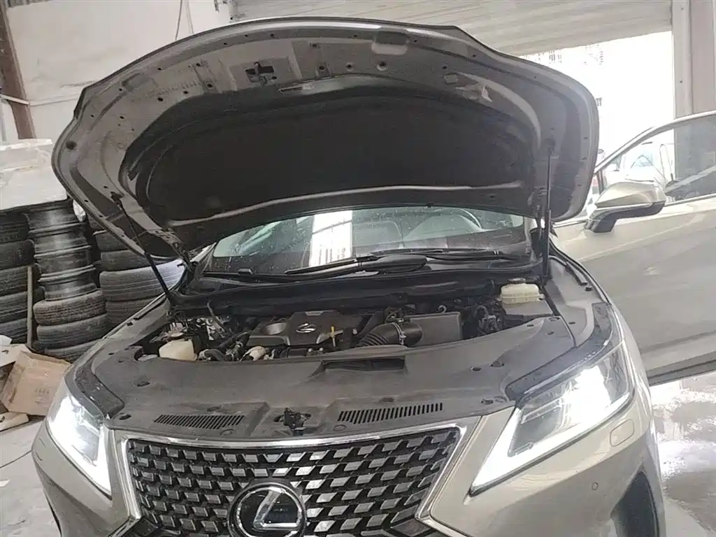 Lexus RX 2020 — фото 20