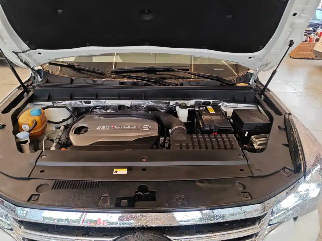 GAC Trumpchi GS8 2019 — фото 20
