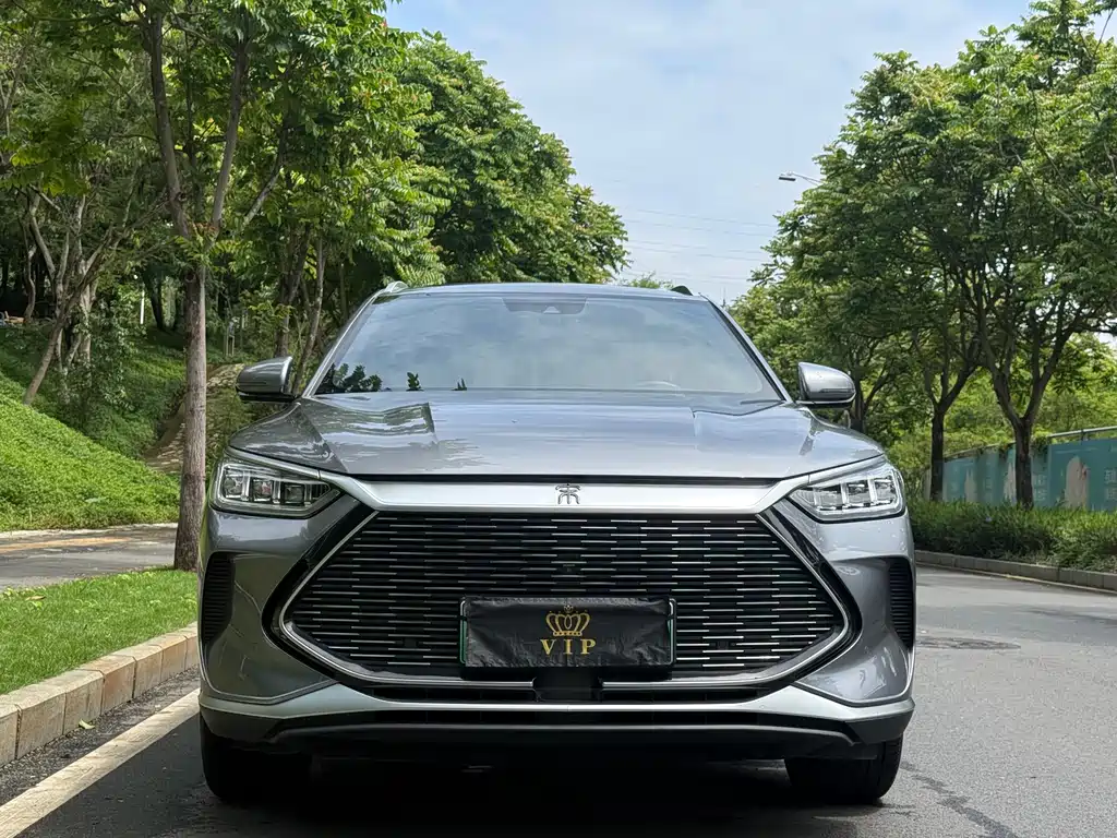 BYD PLUS New Energy 2022 — фото 2