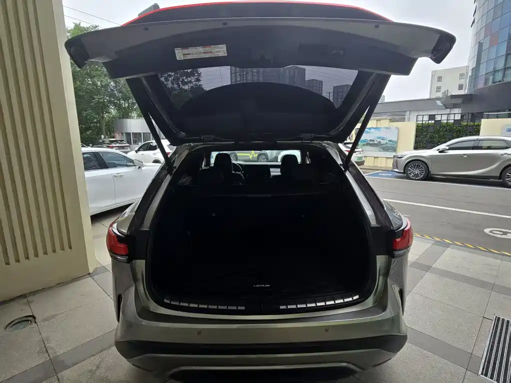 Lexus RX New Energy 2023 — фото 12