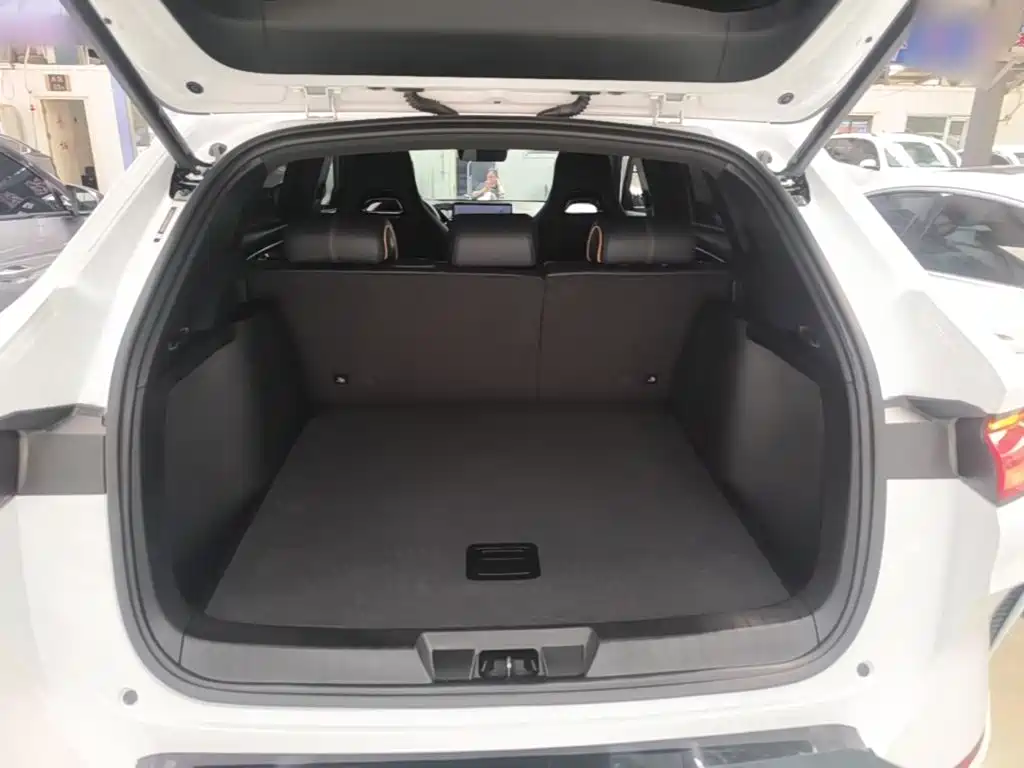 BYD Song PLUS New Energy 2024 — фото 15
