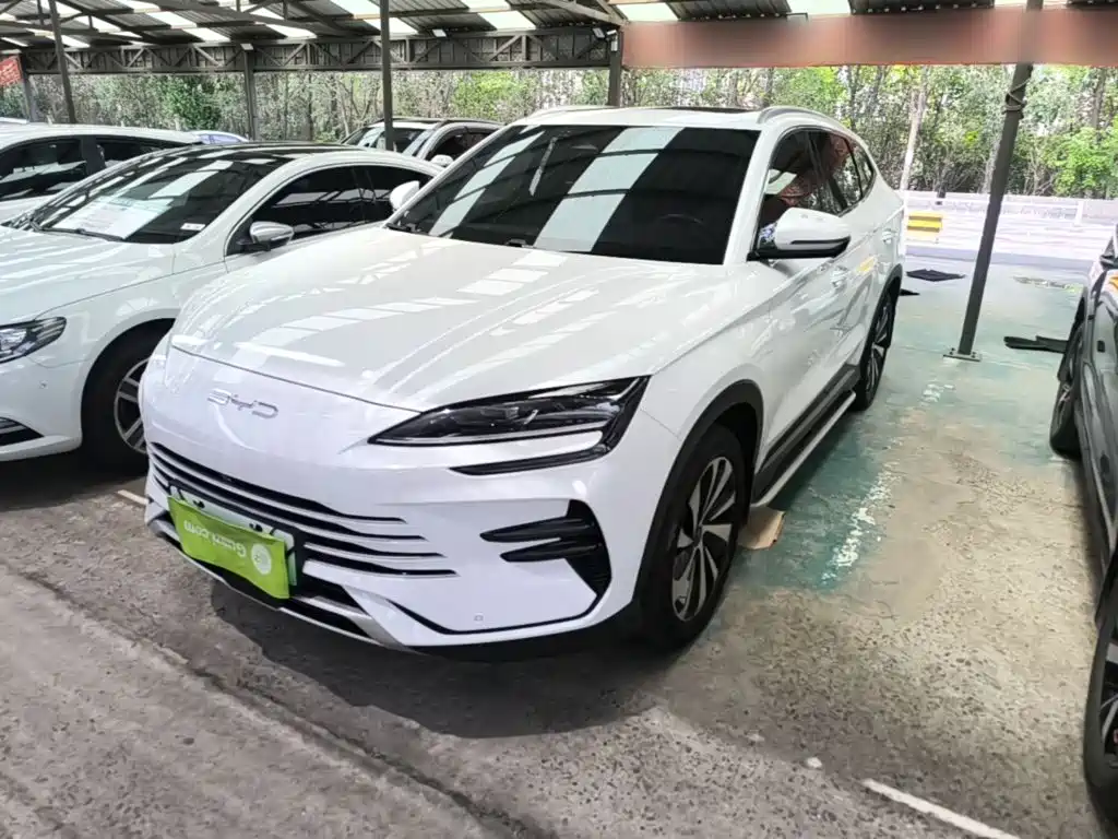 BYD Song PLUS New Energy 2024 — фото 2