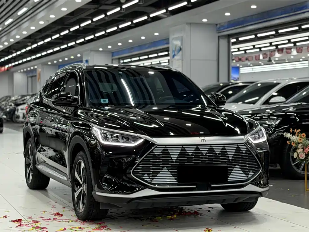 BYD PLUS New Energy 2021 — фото 3