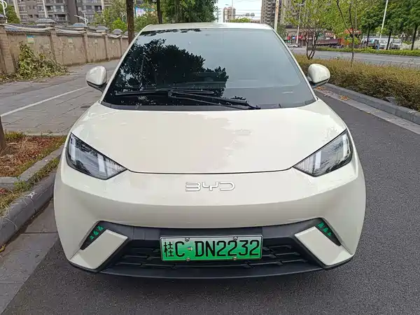BYD Seagull 2024