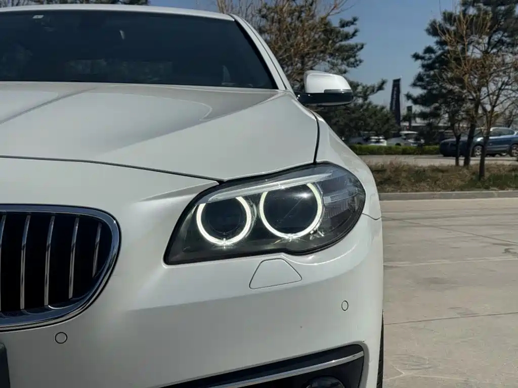 BMW 5 Series 2016 — фото 14