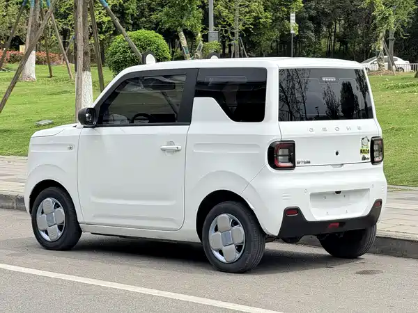 Geely Galaxy Panda 2023