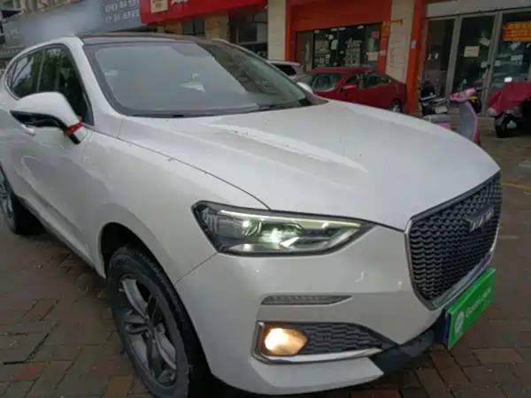 Haval F5 2019