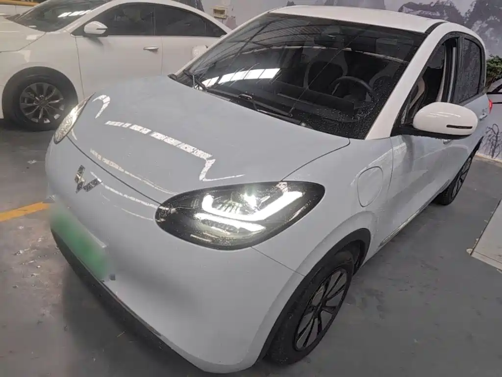 Wuling Bingo 2024