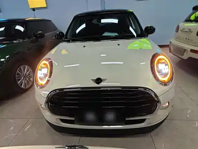 MINI MINI 2018