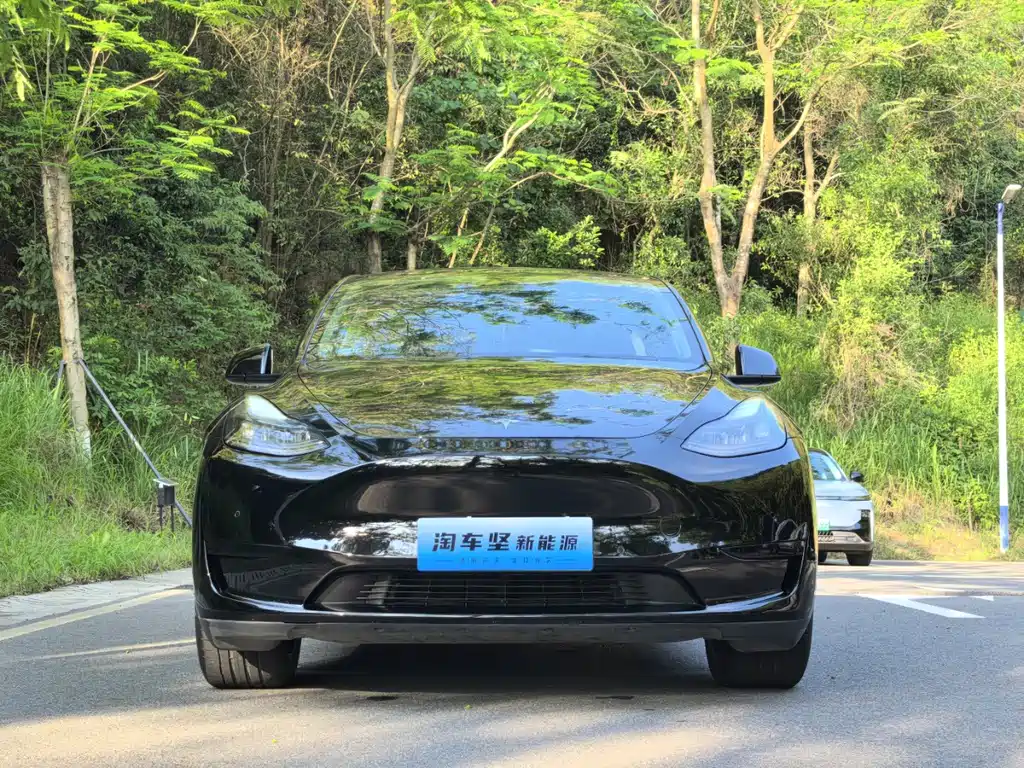Tesla Model Y 2022 — фото 2