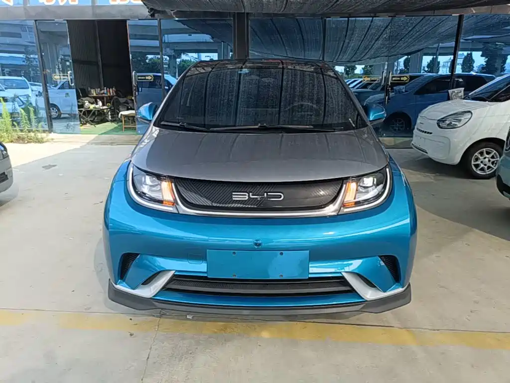BYD Dolphin 2022