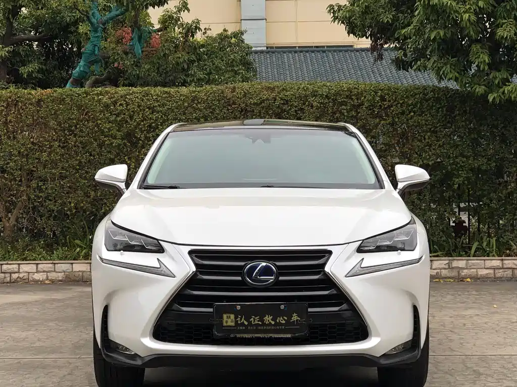 Lexus NX 2016 — фото 2