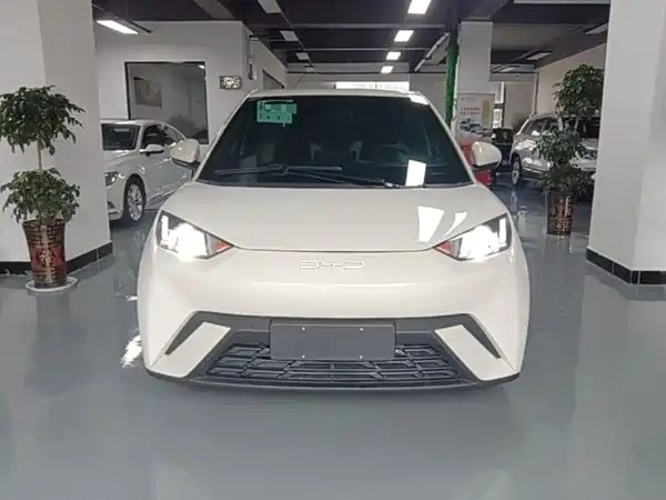 BYD Seagull 2024