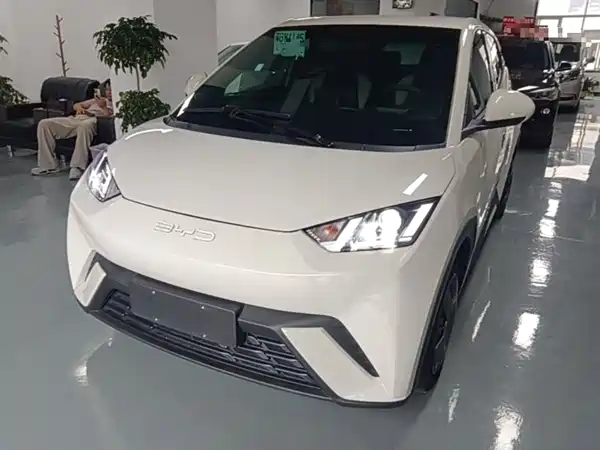 BYD Seagull 2024
