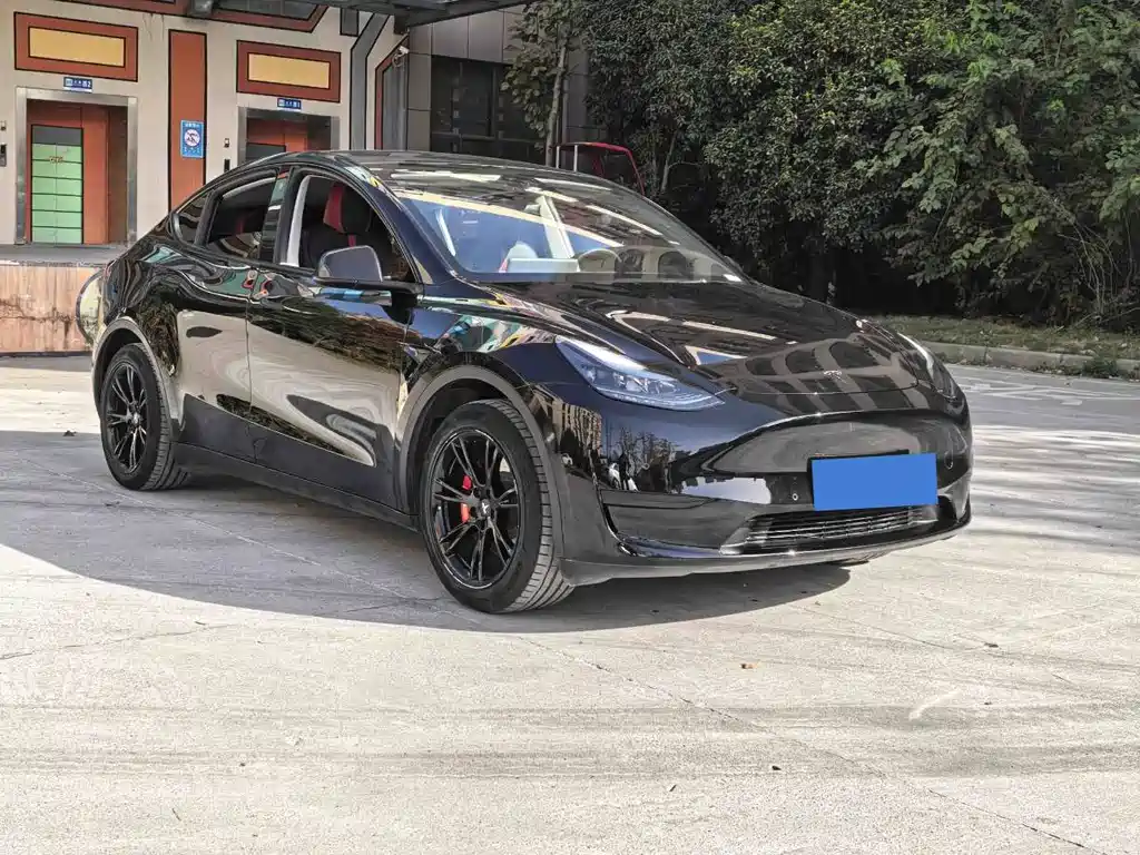 Tesla Model Y 2023 — фото 3