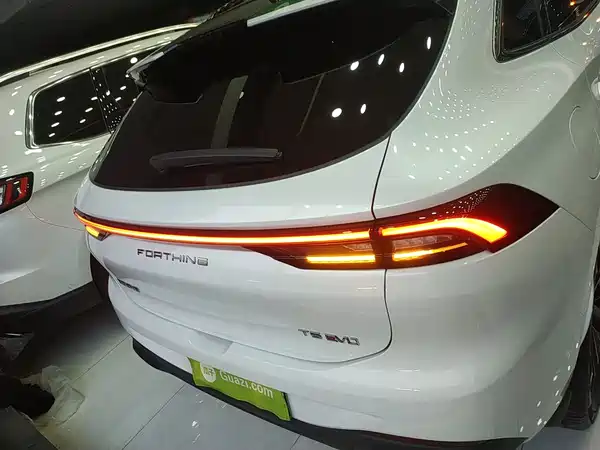 Dongfeng Fengxing T5 EVO 2024