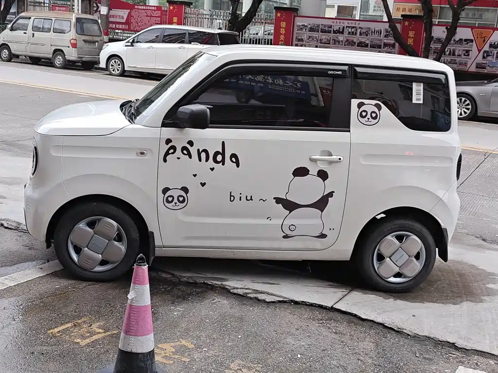 Galaxy Panda 2024