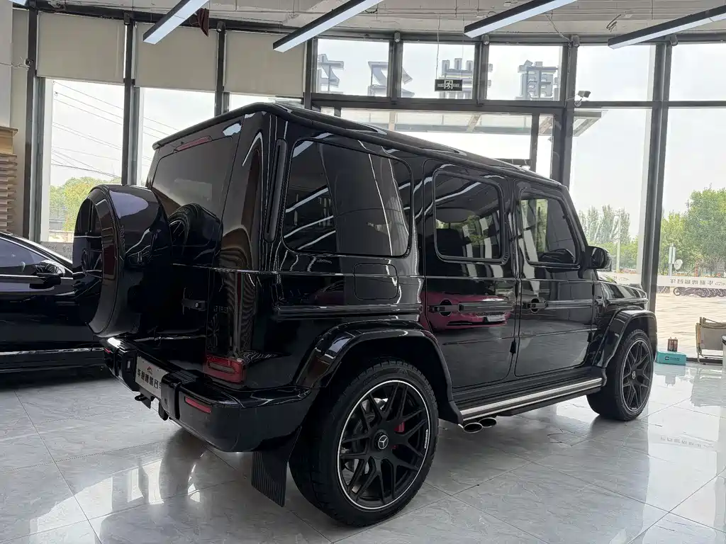 Mercedes-Benz G-Class 2019 — фото 20
