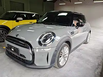 MINI MINI 2021