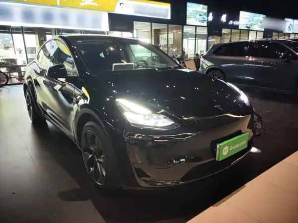 Tesla Model Y 2024