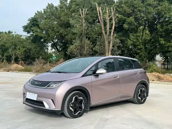 BYD Dolphin 2021