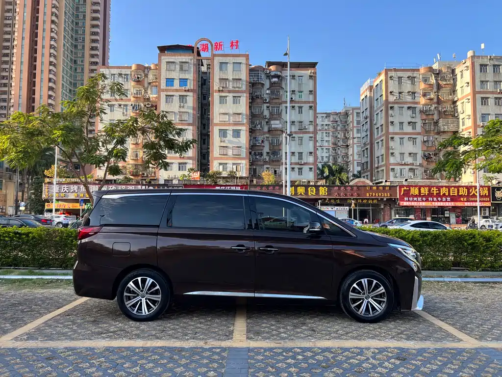 GAC Motor Trumpchi M8 2019 — фото 17