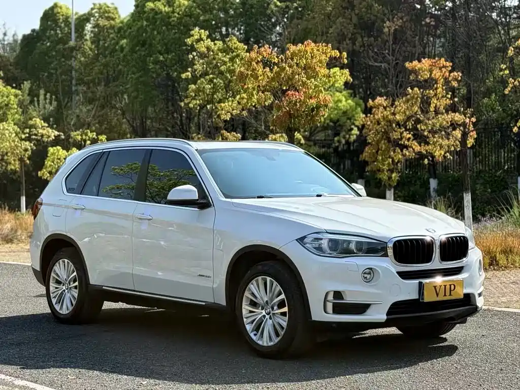 BMW X5 2014 — фото 3