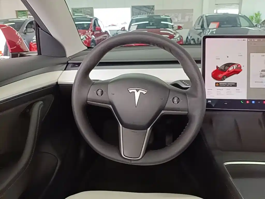 Tesla Model 3 2021 — фото 11