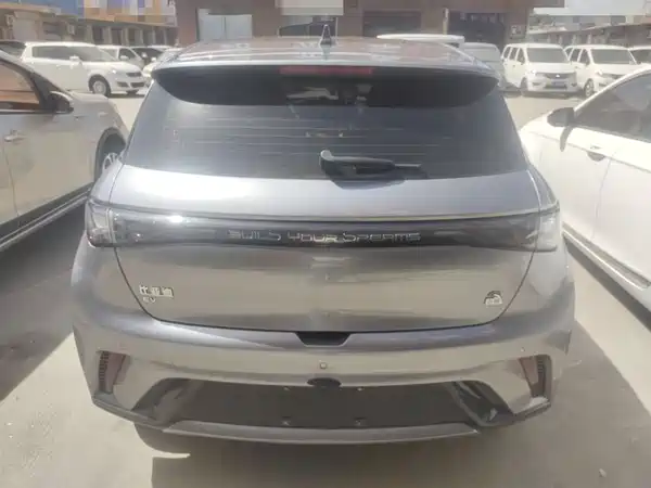 BYD Dolphin 2023