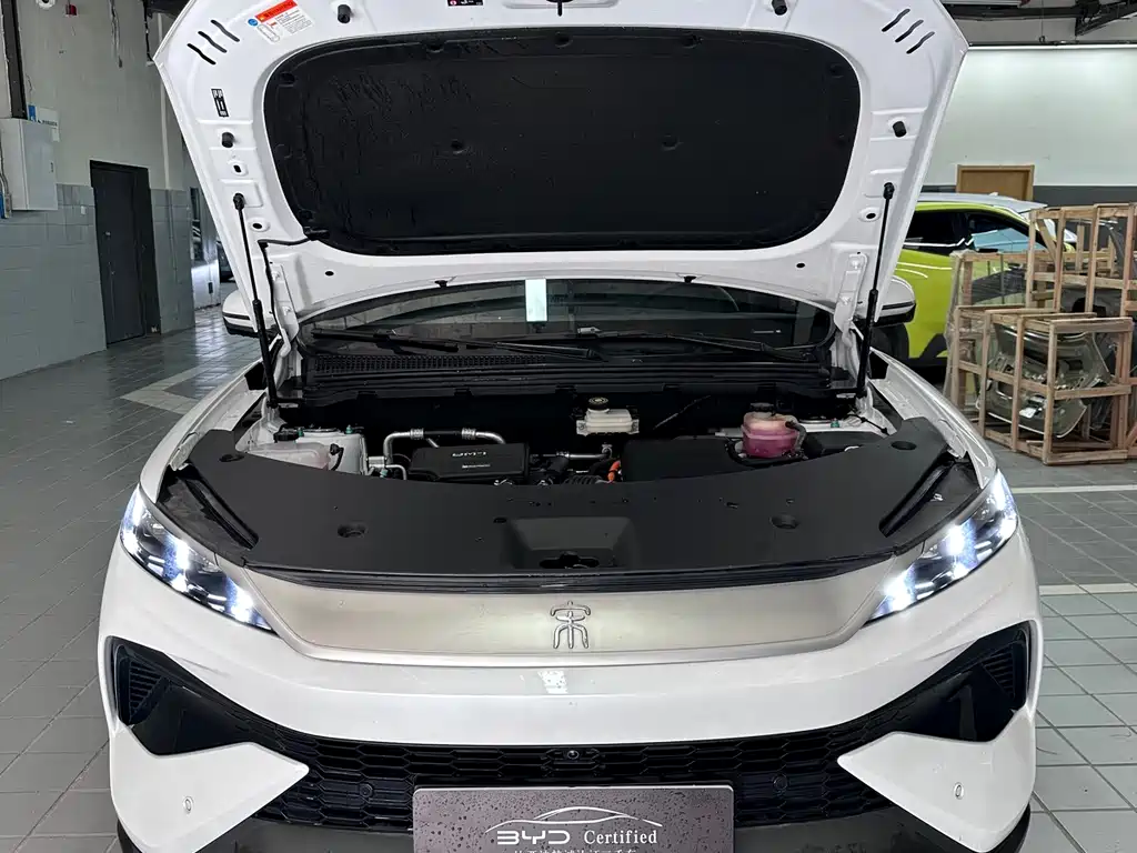 BYD Pro New Energy 2025 — фото 3