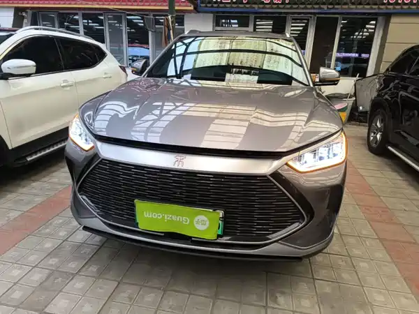BYD Song PLUS New Energy 2021