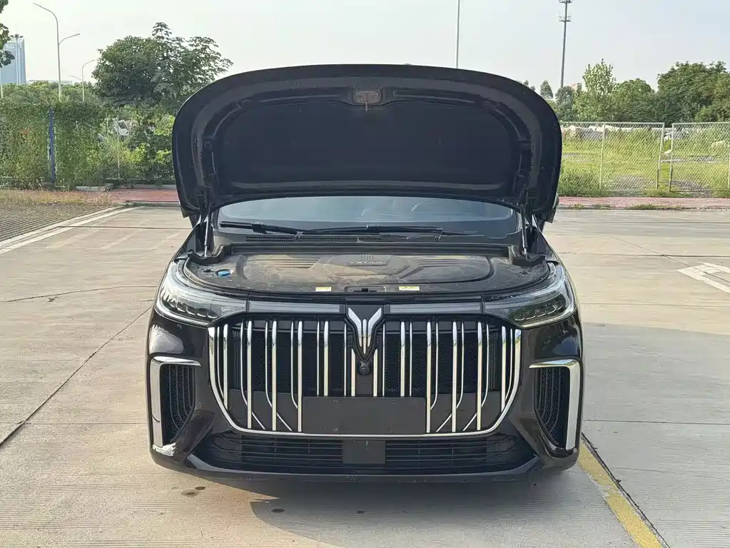 Voyah Dreamer 2023 — фото 7