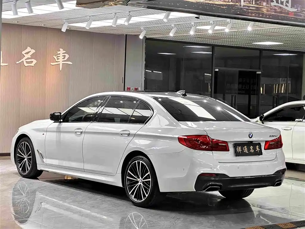 BMW 5 Series 2019