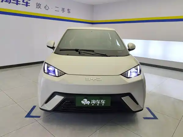 BYD Seagull 2025